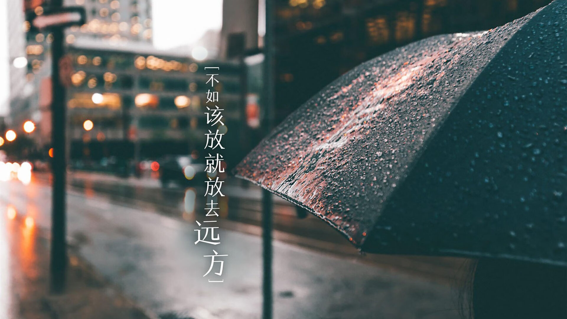 随机未来几年中国足球青训投入将持续增长，中国足球青训发展