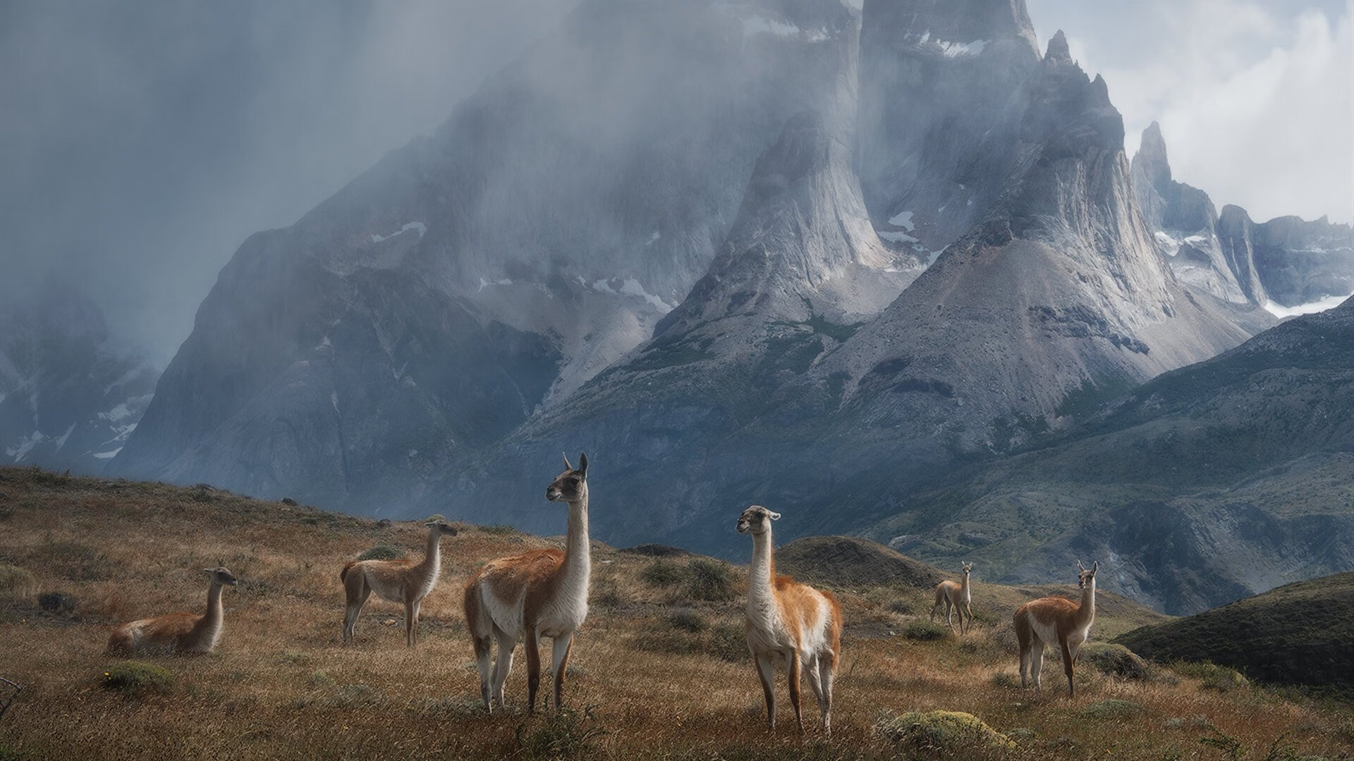 FPX青年队夺得全国青训邀请赛冠军，fpx战队青训要求