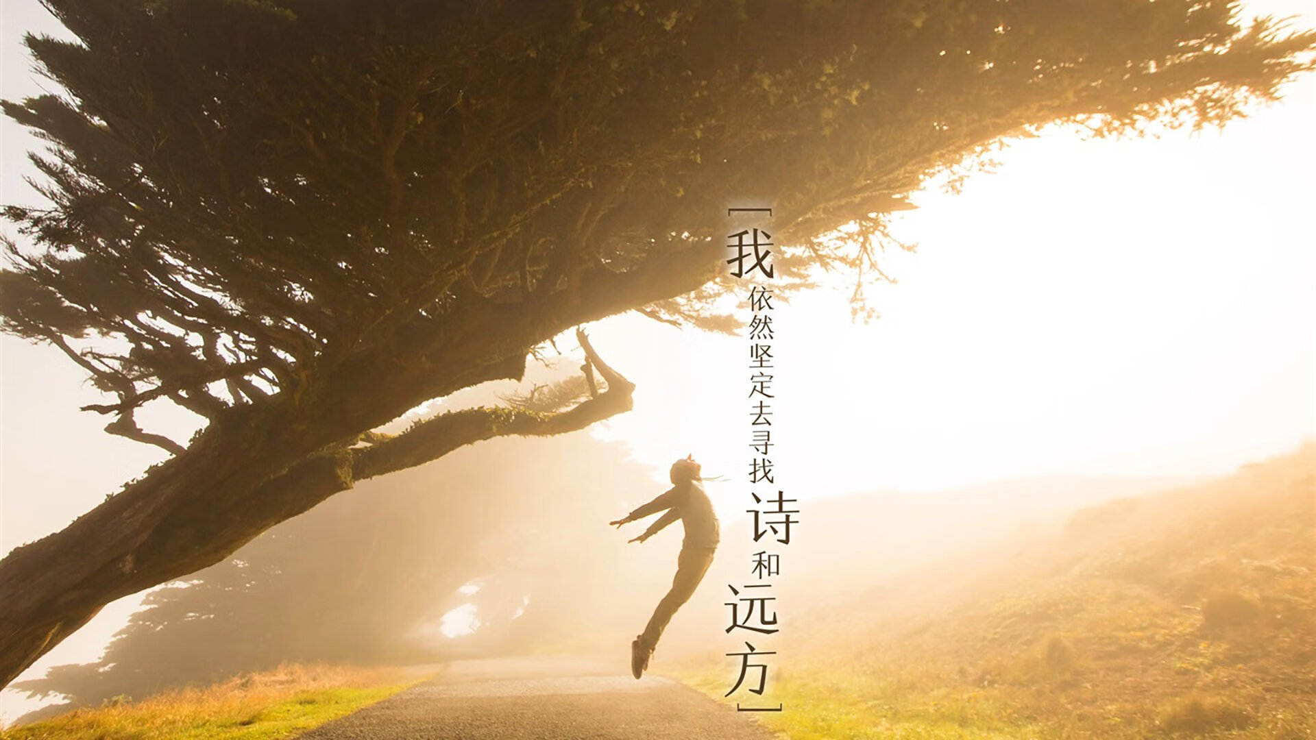 东契奇助攻创新高独行侠大胜,东契奇和独行侠签了几年合同