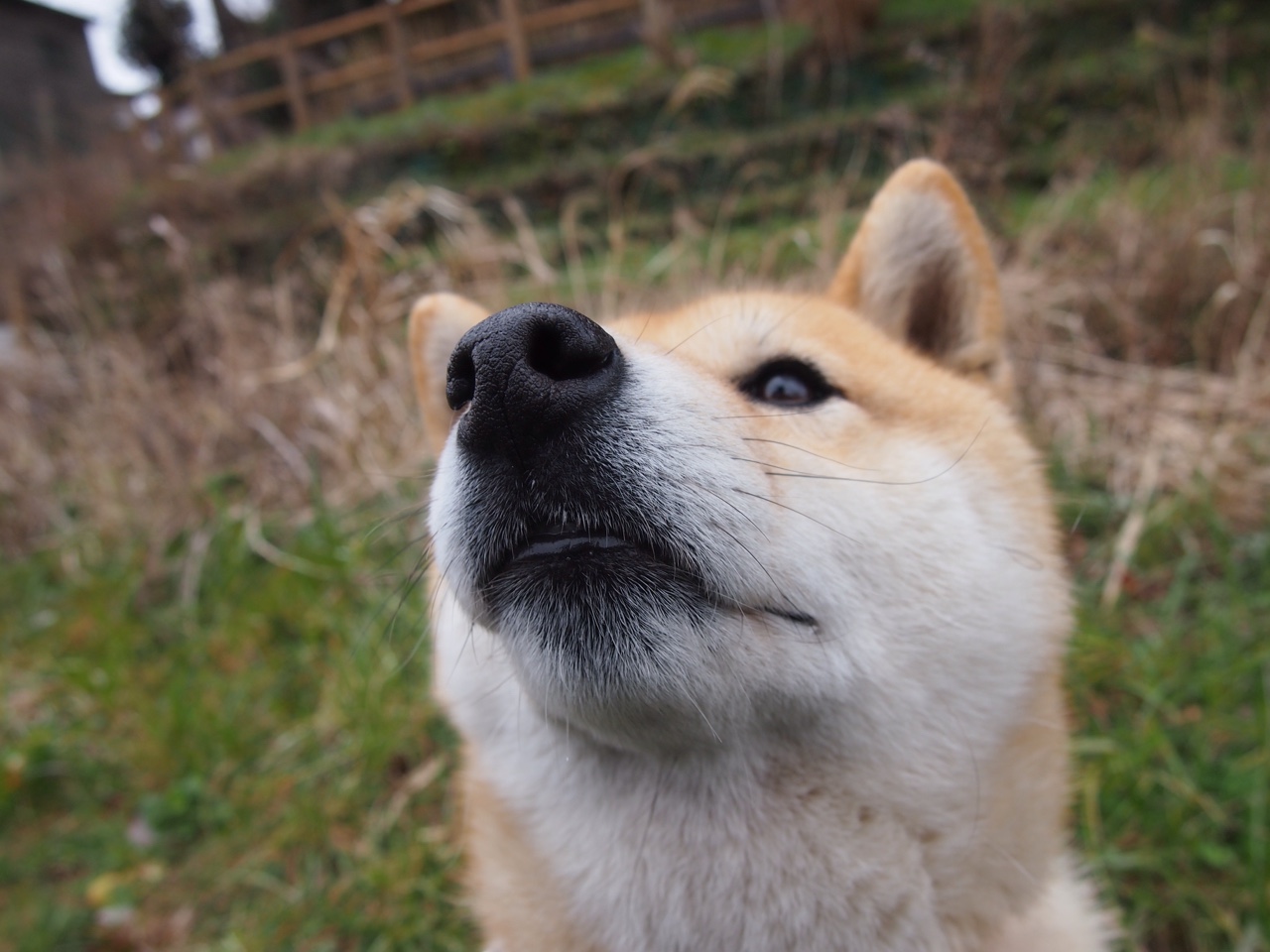 体育新闻中心发布体育赛事图文采集标准化手册，体育赛事报道怎样写