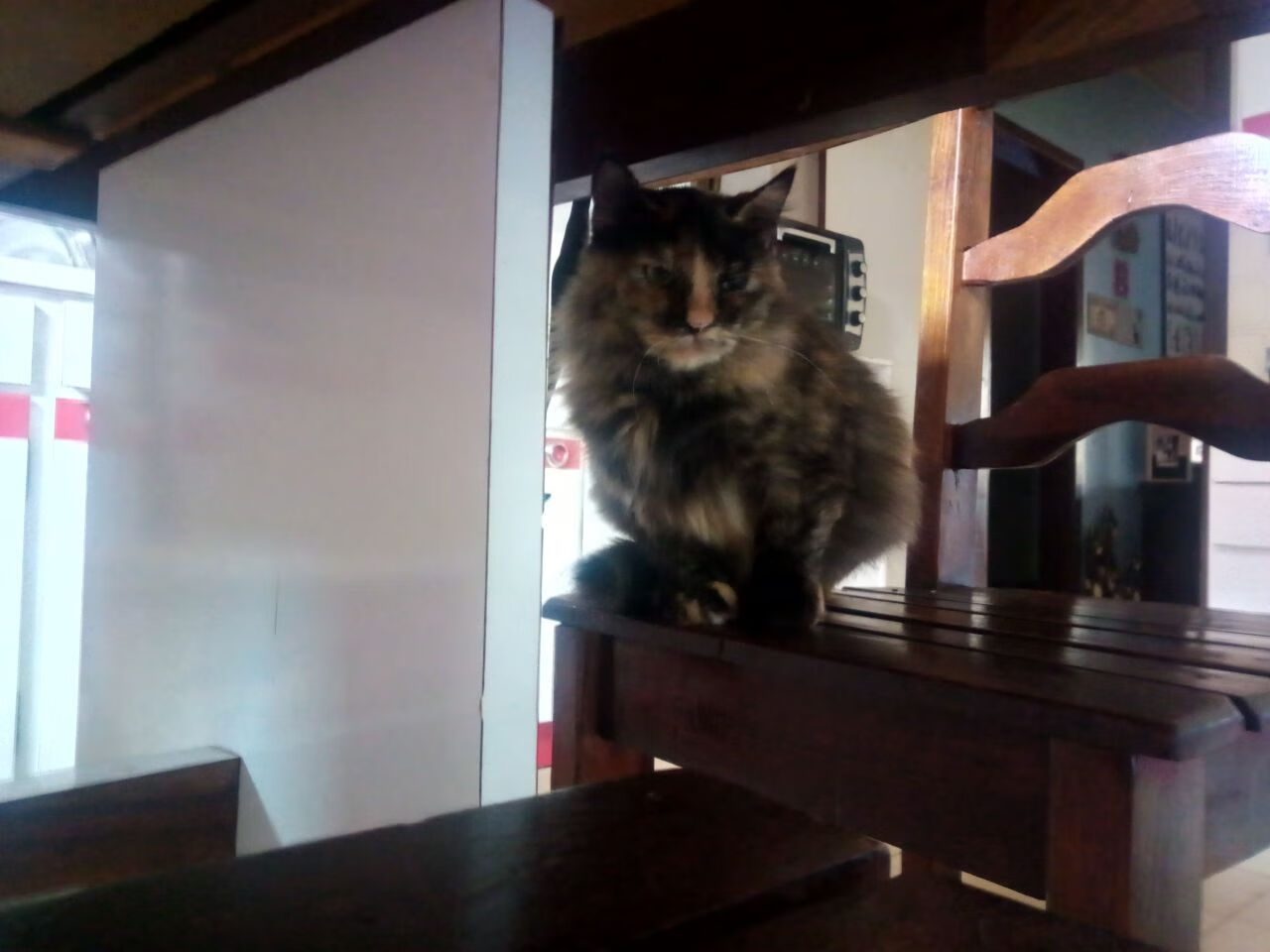 场馆温控节能系统试点实现能耗数据公开,室内场馆温度标准