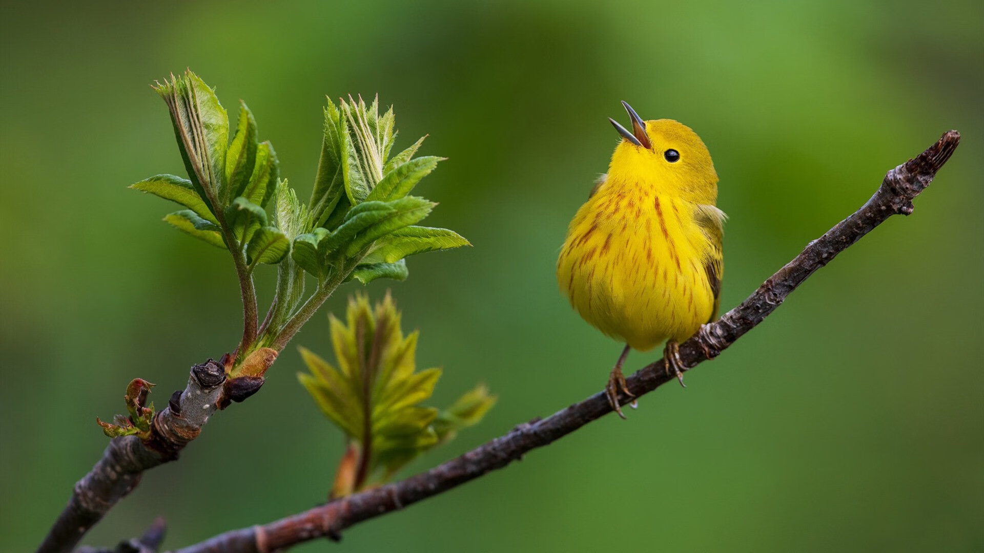 姆巴佩面对高压防守受限发挥受阻,姆巴佩爆发力