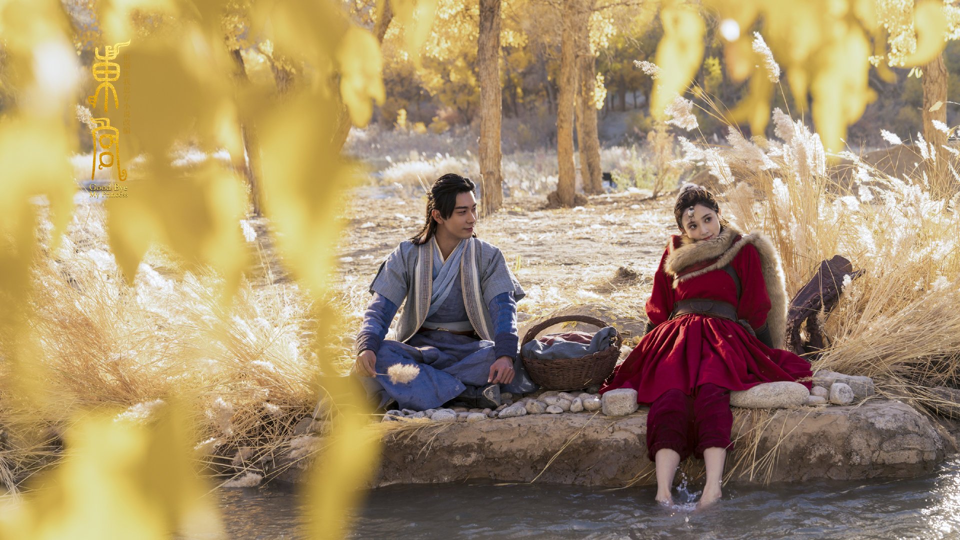 蝶泳划水效率数据解读,蝶泳的划水动作轨迹是三维的