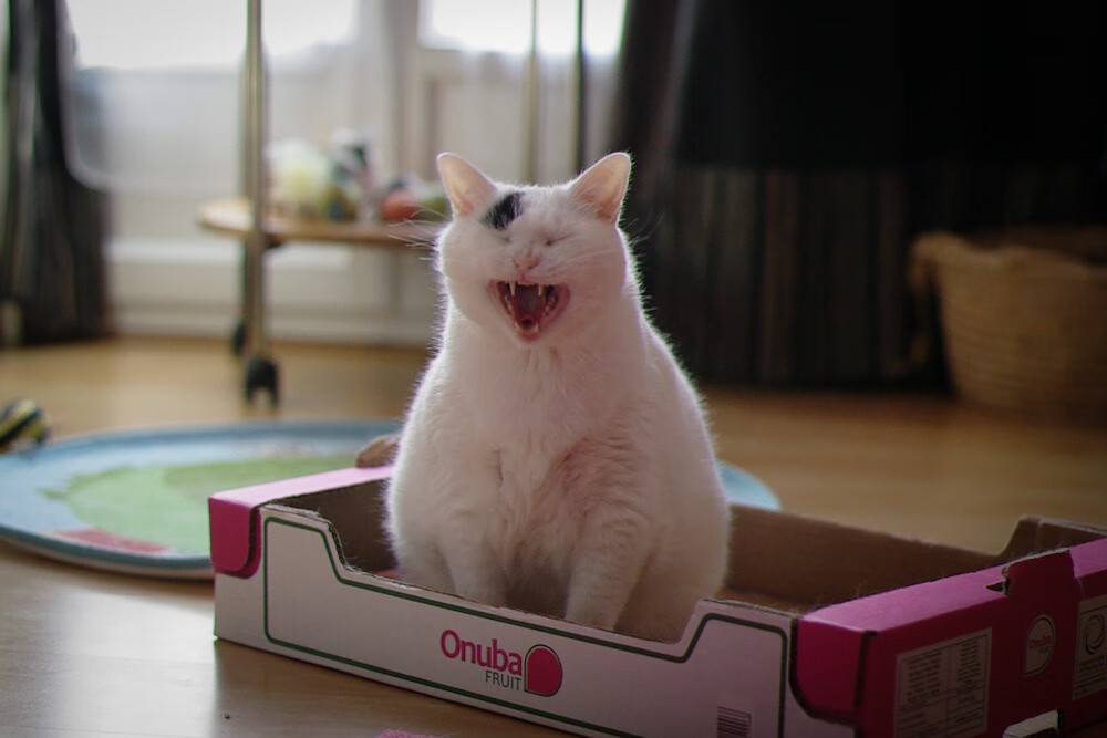 开云体育中国官网-中国队备战2026世界杯，训练营受到国际关注和合作支持，中国队世界杯预