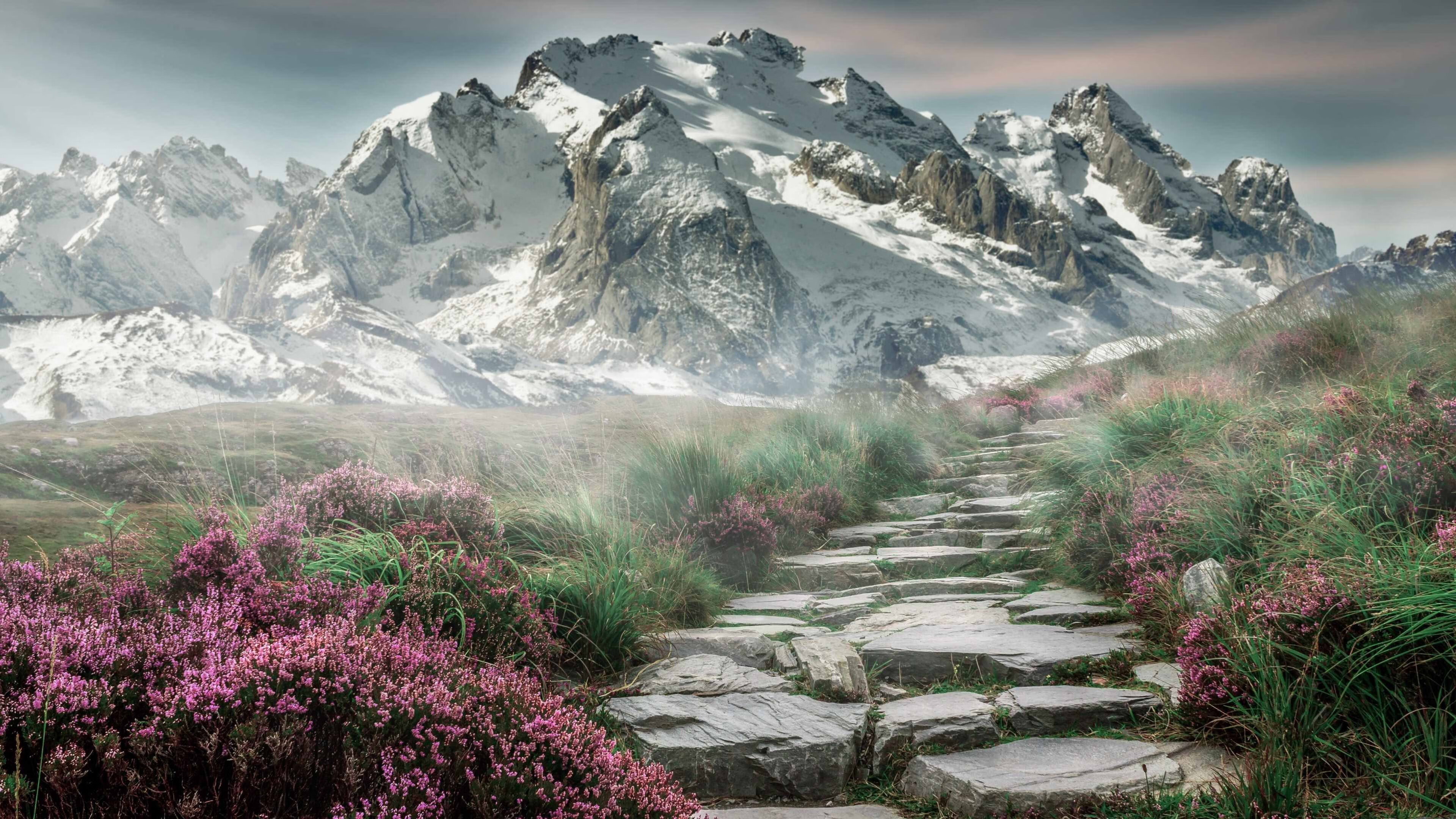 女子联赛尝试引入混合采访区增加媒体互动机会