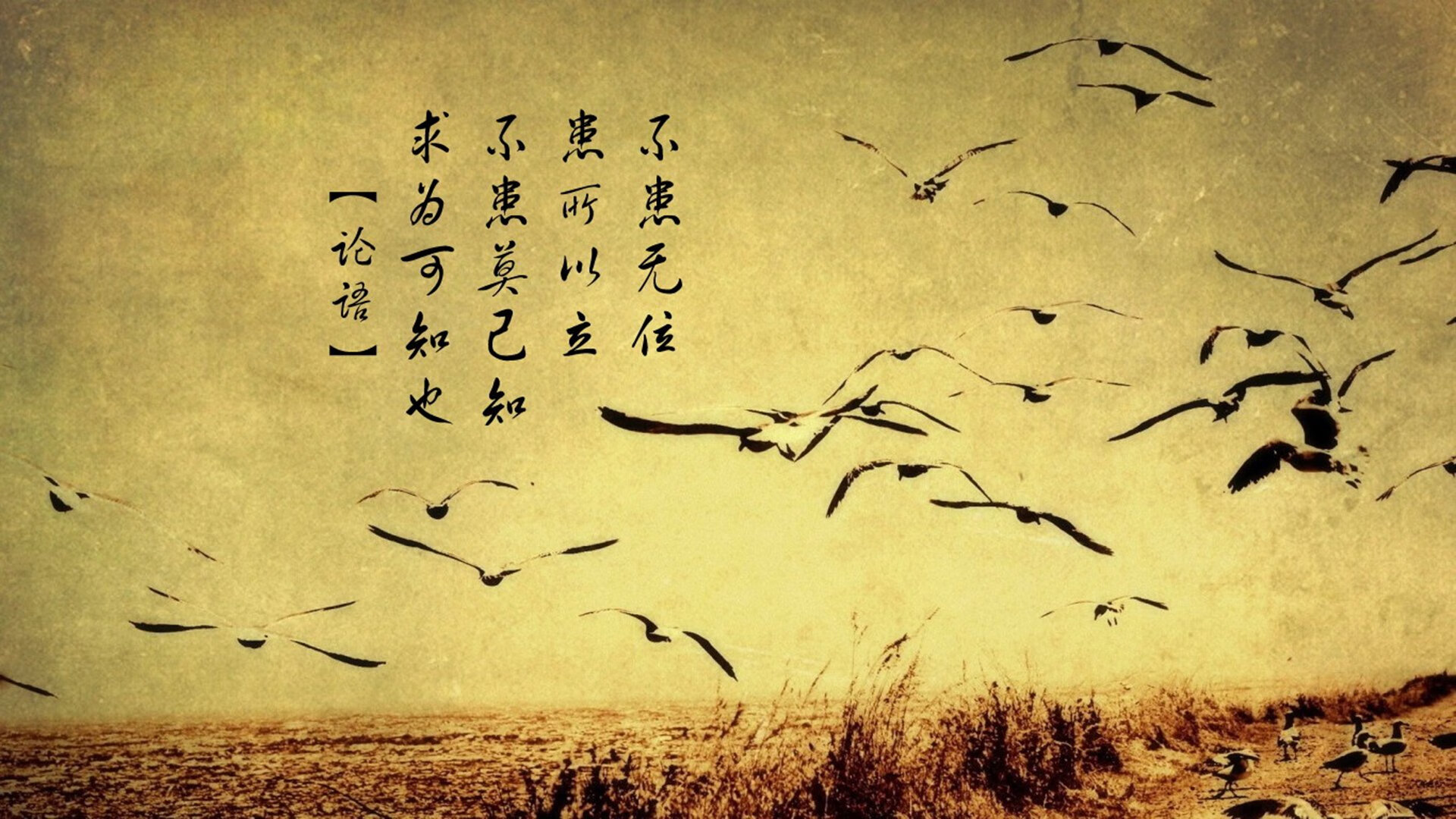 开云中国大陆-德甲联赛球迷参与度提升策略，德甲有观众