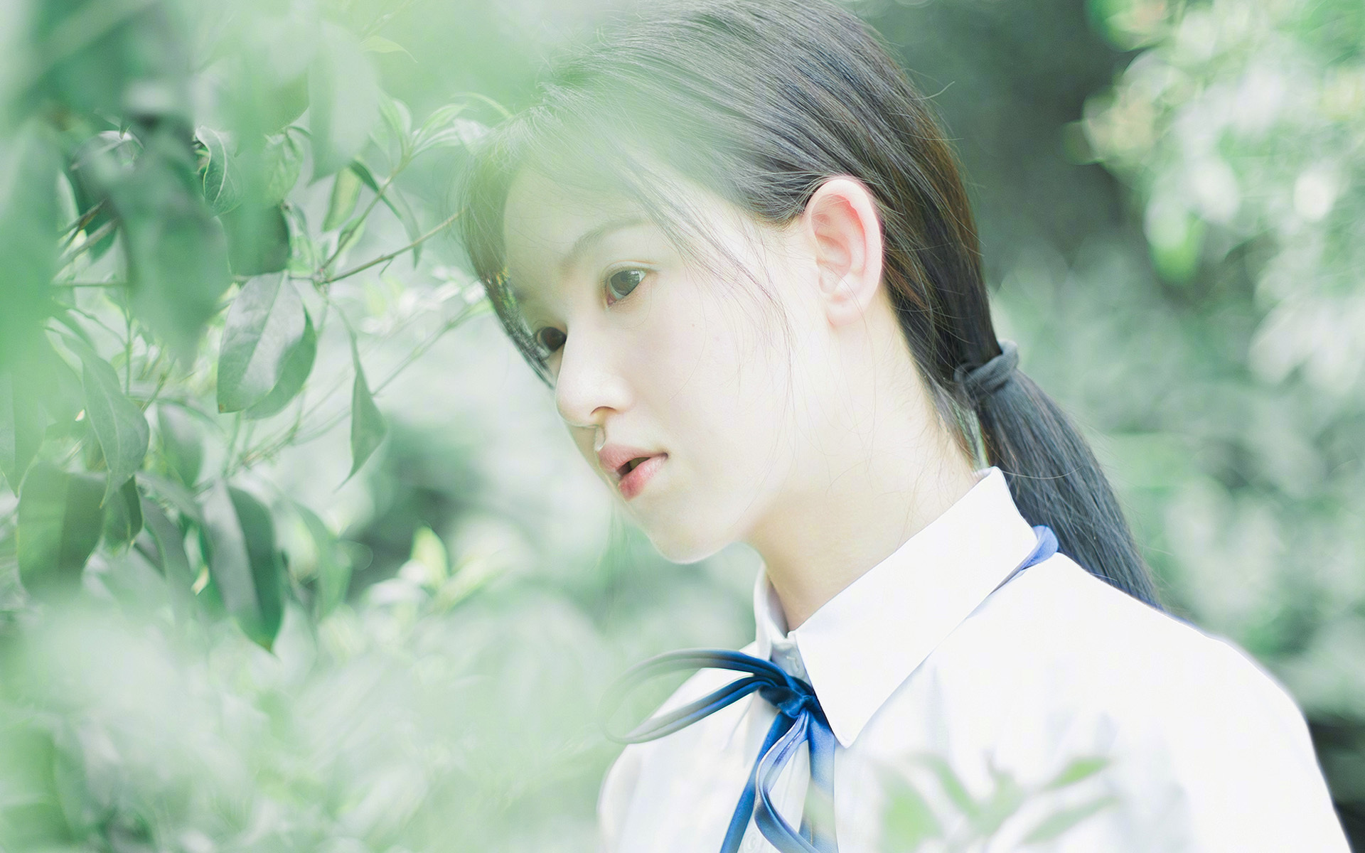 球迷联名请愿扩大赛场容量,主办方回应积极,球队球迷