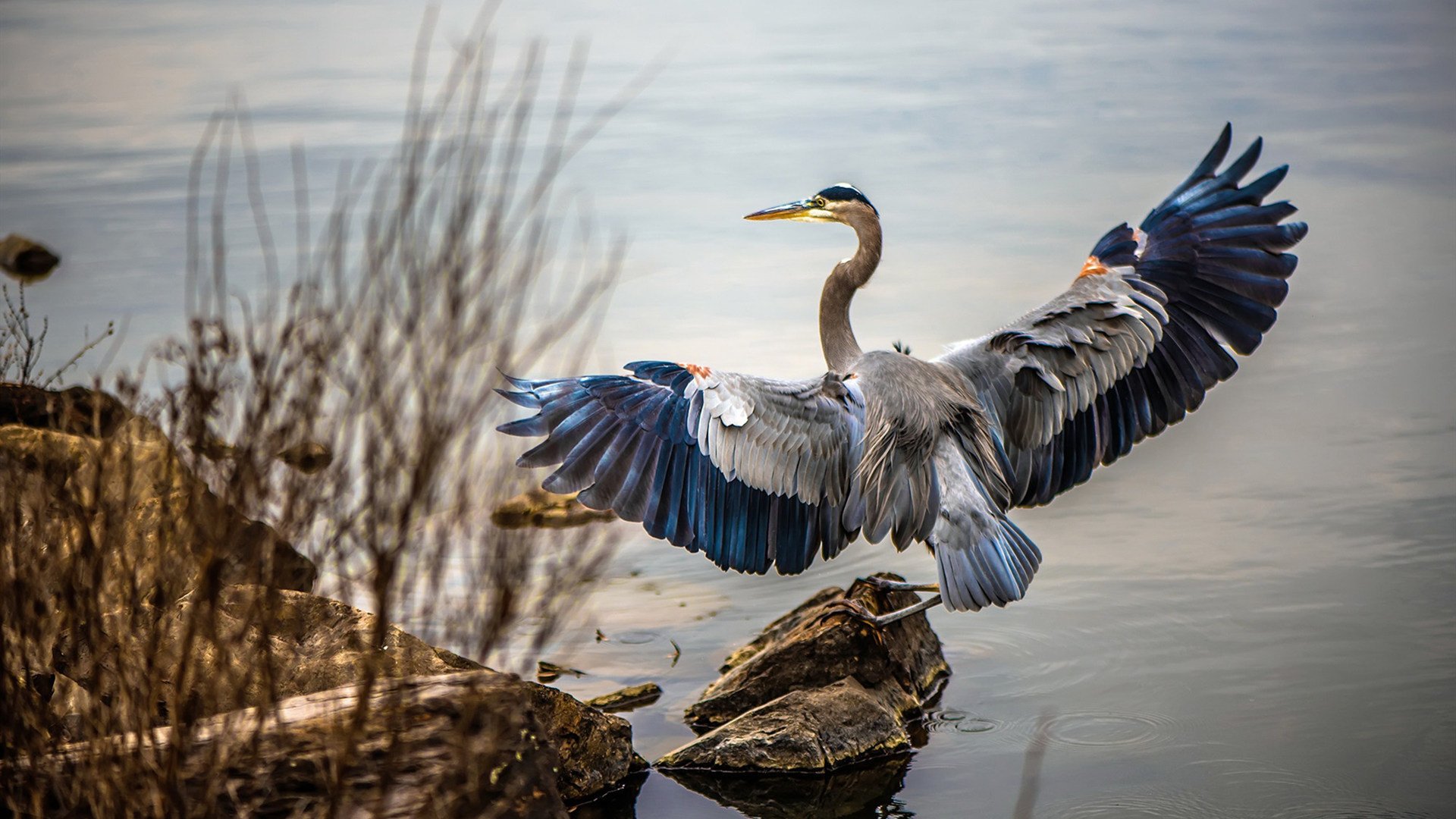 皮特·斯图斯:南非防线的基石,屡次化解危机,斯图皮特2021