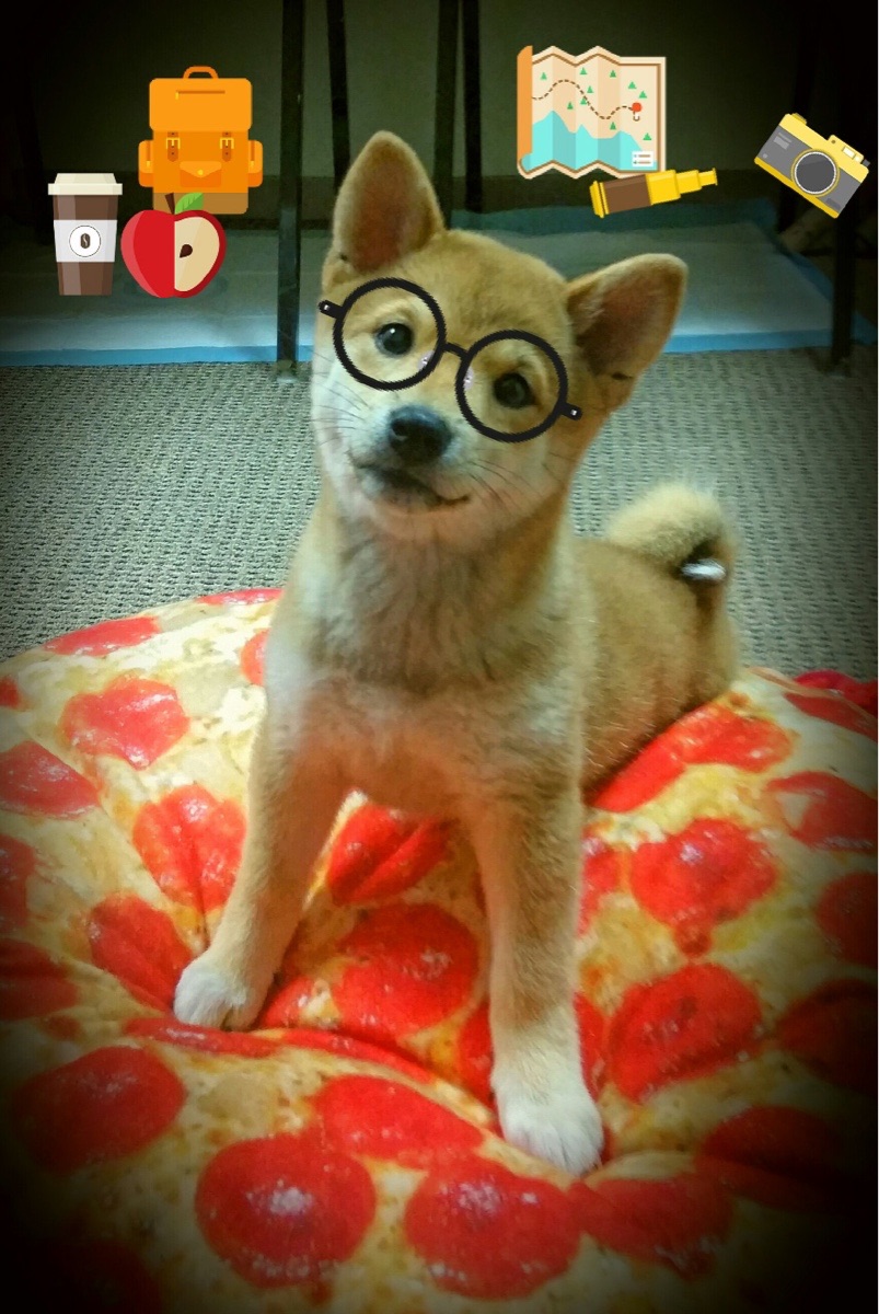 男子队重建期延长面临挑战